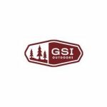 GSI